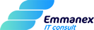 Emmanex IT Consult